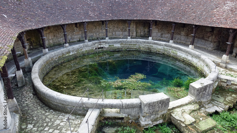 La fosse d'Yonne à Tonnerre est une source vauclusienne autour de laquelle s'est construite la ville. Un lavoir a été aménagé autour d'elle au XVIII ème siècle.
