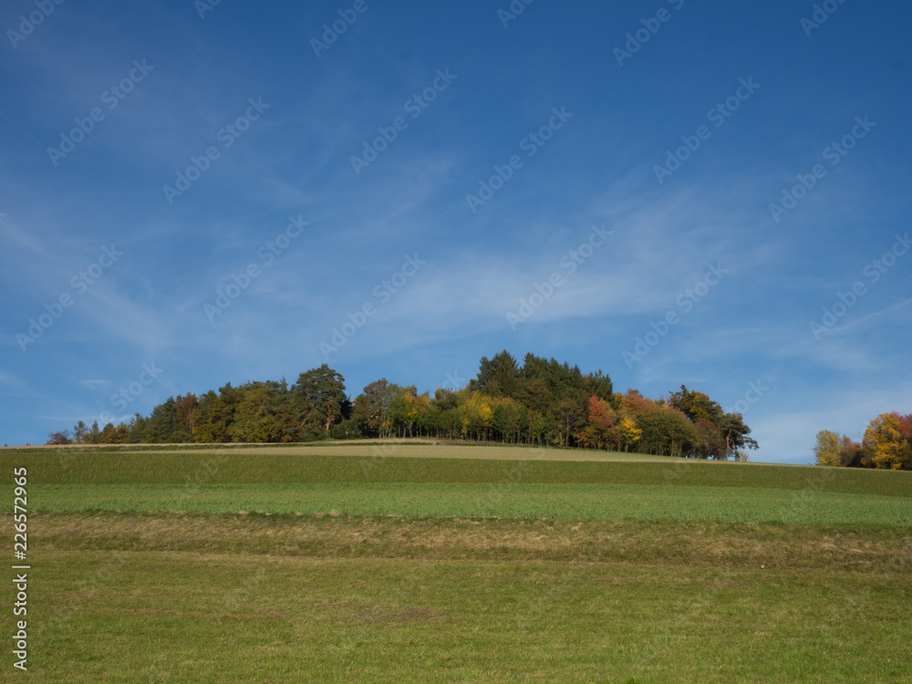 Fototapeta premium Fields and forest