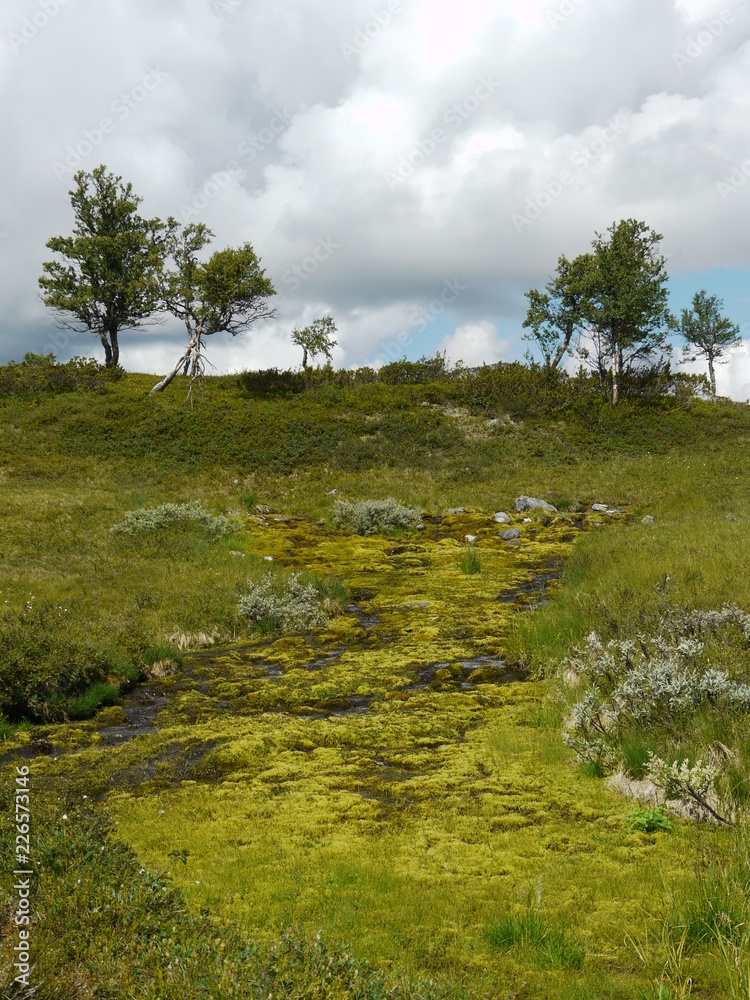Obraz premium Grövelsjön