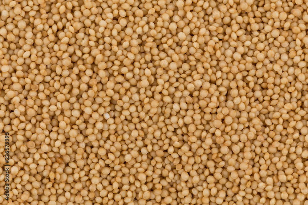 amaranth grain closeup amaranth grain closeup