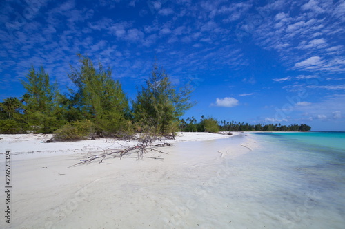Zanzibar  landscape sea  white sand
