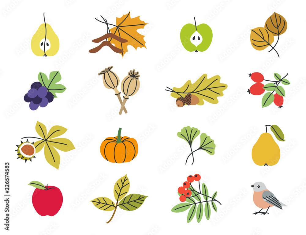 Natural design element – autumn Natural design element – autumn
