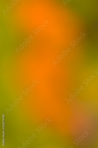 Blurred nature background with autumn beautiful colors