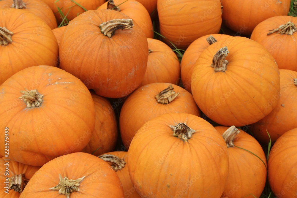 Street sale of orange pumpkins besides the highway, in autumn. Bavaria, Germany, Europe. Street sale of orange pumpkins besides the highway, in autumn. Bavaria, Germany, Europe.