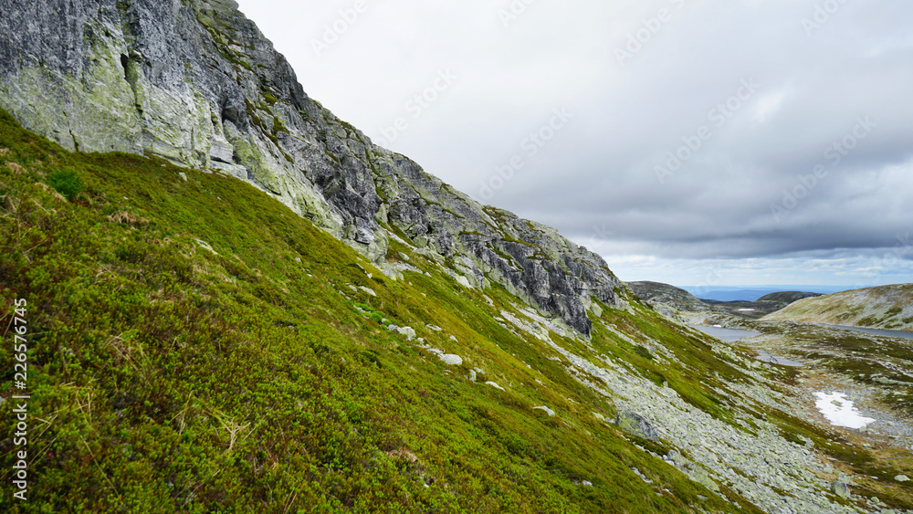 A mossy and rocky landscape.