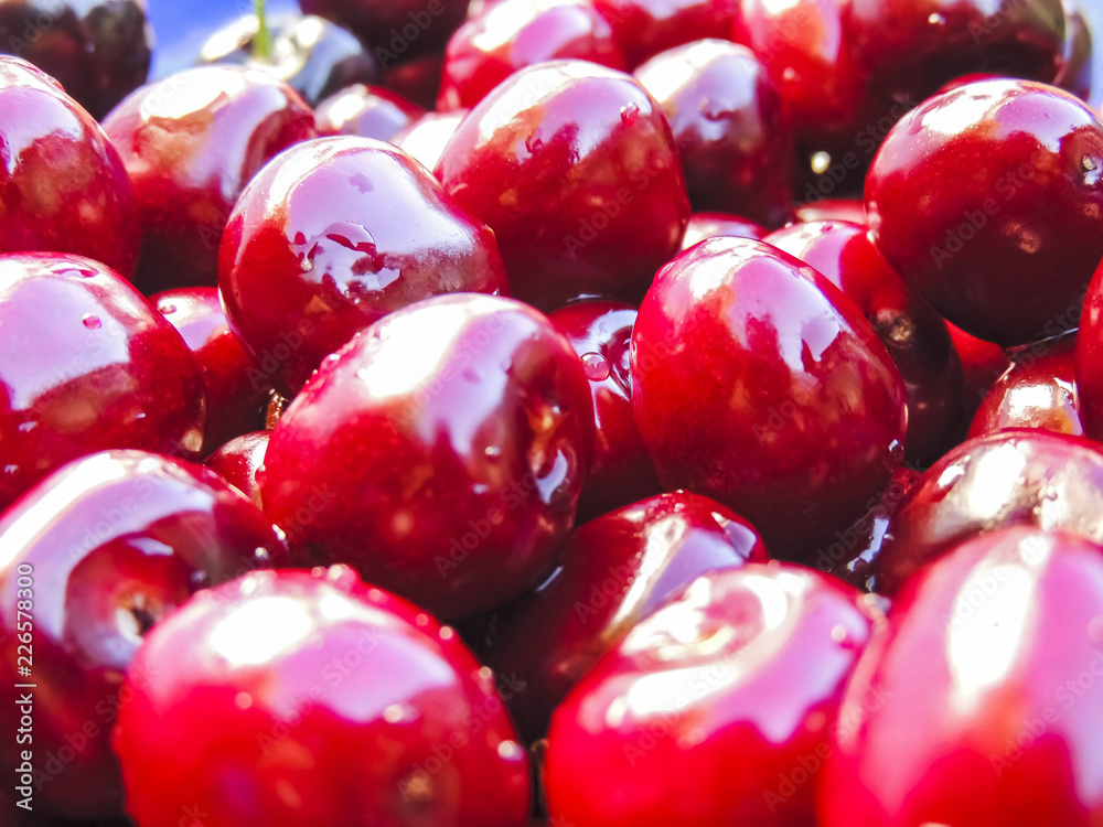 Freshly picked berries juicy sweet cherry closeup. Freshly picked berries juicy sweet cherry closeup.