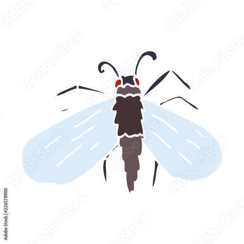 cartoon doodle fly