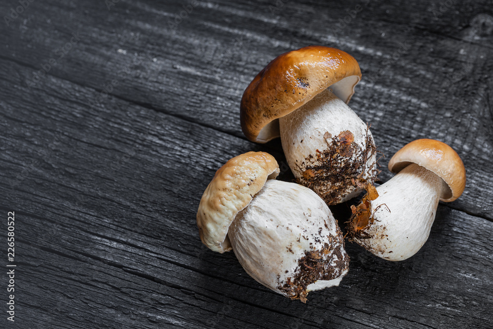 Boletus on wooden background. Porcini Mushrooms Boletus on wooden background. Porcini Mushrooms