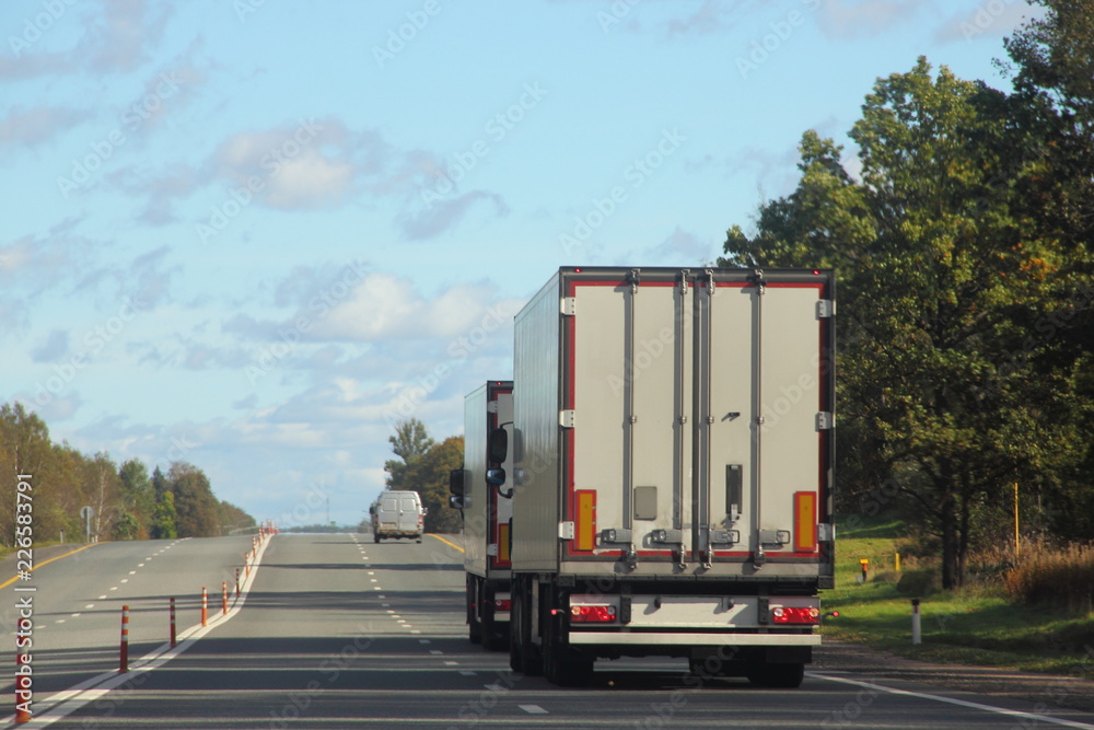 White trucks with a european semi-trailers rides on a suburban highway road on a summer day against the blue sky and green forest, rear side view of the trailer - transportation, transport industry