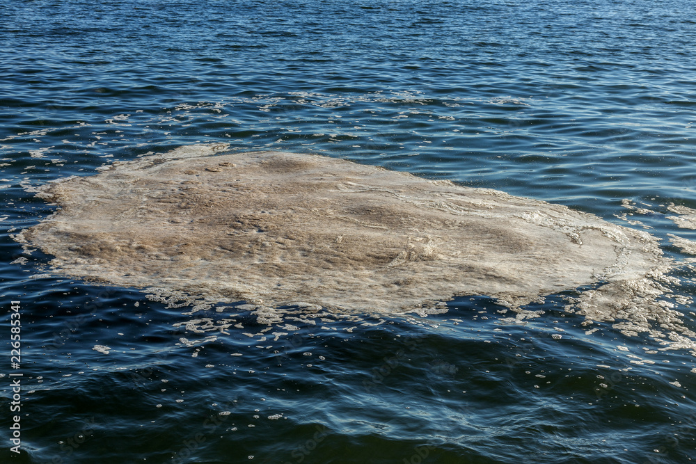 Dirty sea water. Dirt on water. Dirty oil spots on surface of sea water are polluted as result of sewage runoff. mud ripples. Garbage. Ecological problem. Bathing is prohibited. beach is closed