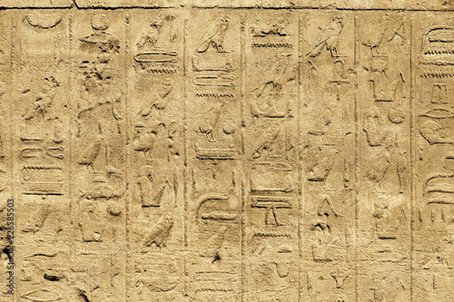 Ancient egyptian hieroglyphs carved on the stone wall