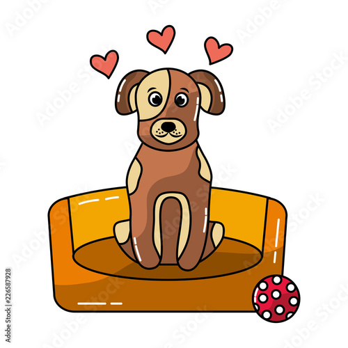 cute dog sitting in bed with toys