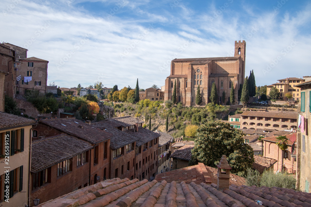 Basilica of San Domenico is a basilica church in Siena and it has a gothic appearance.