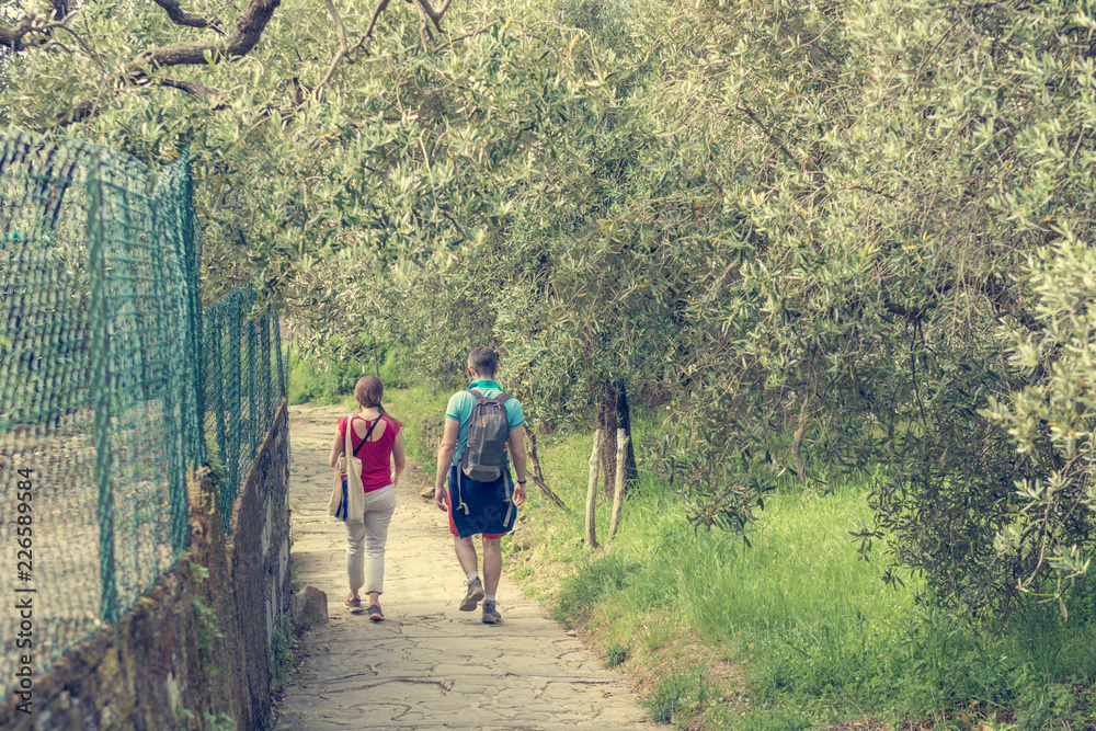 Young couple walking along a path through olive orchard. Young couple walking along a path through olive orchard.