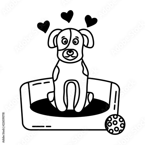 cute dog sitting in bed with toys