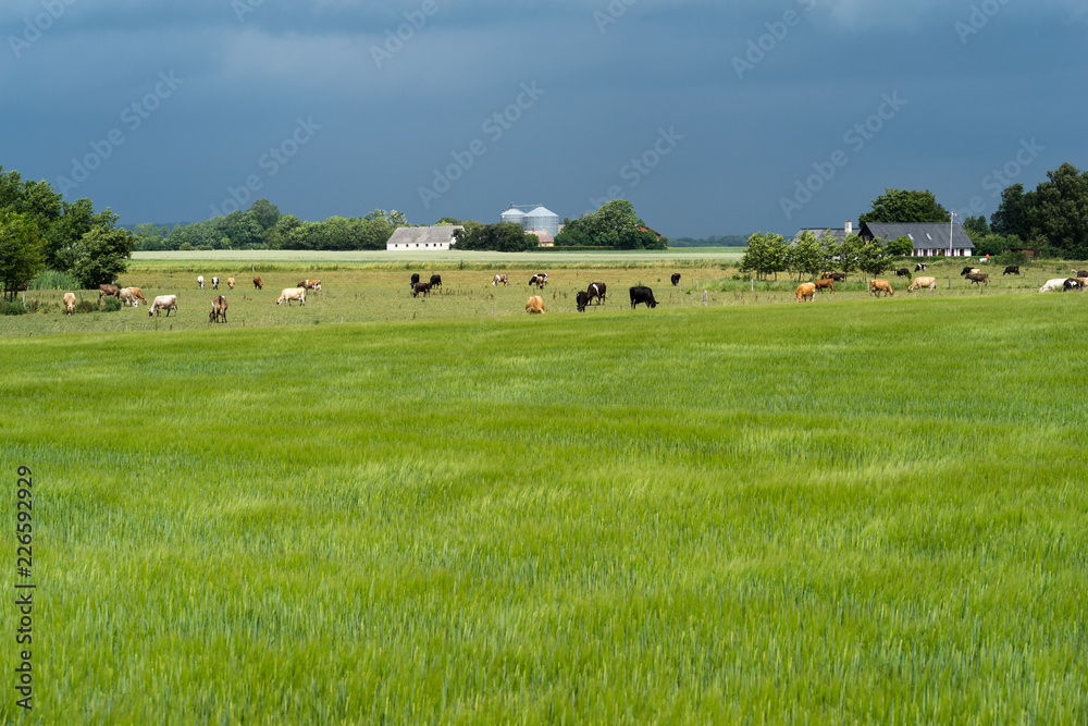 Bornholm Aakirkeby