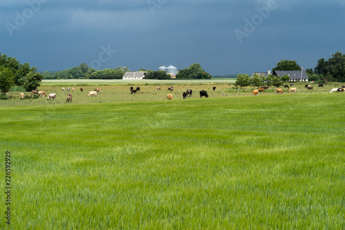 Bornholm Aakirkeby