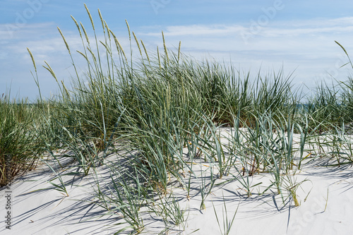 Bornholm Dueodde