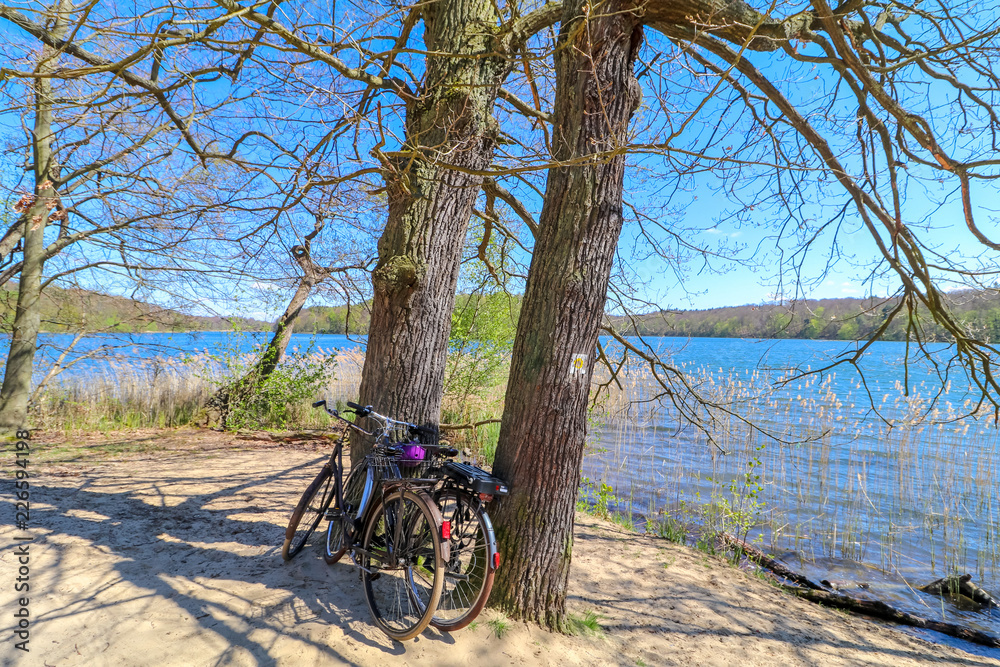 Fototapeta premium bicycle in a nature park