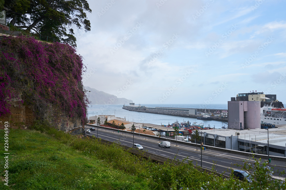 View of Funchal marina with purple flowers on a wall