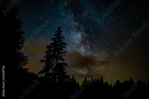 Milky Way and tree © Pro Image 
