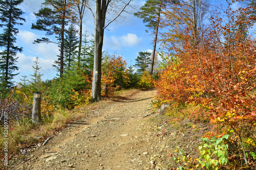 Fototapeta Naklejka Na Ścianę i Meble -  Trail in the mountains