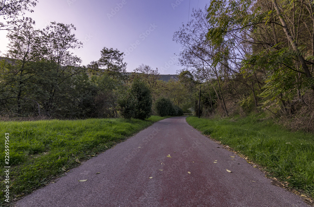 Fototapeta premium Paesaggio autunnale di campagna con strada ciclabile e pedonale