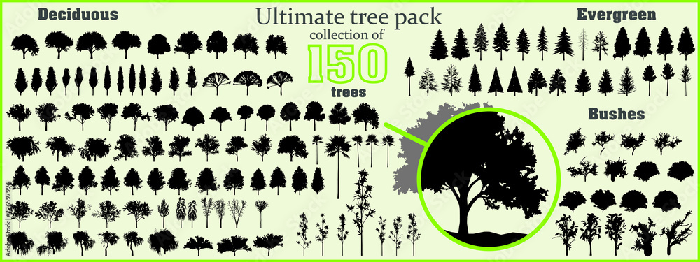 Ultimate tree collection, 150 detailed, different tree vectors 