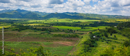 Photography View of palm trees and fields, Valley de los Ingenios, Sancti Spiritus, Cuba