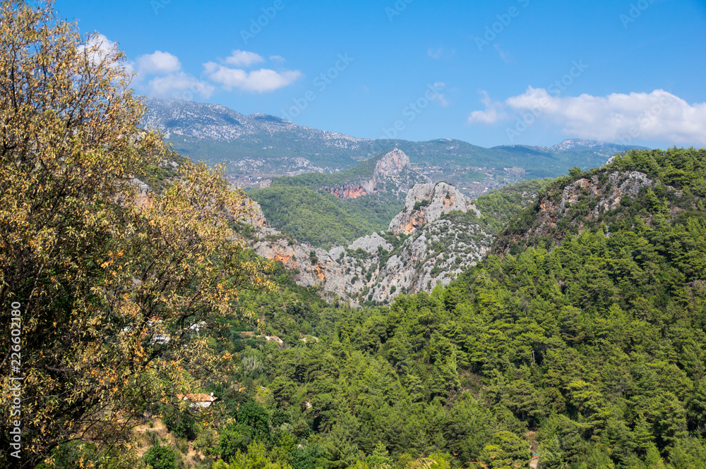Fototapeta premium Alanya taurus mountains with trees