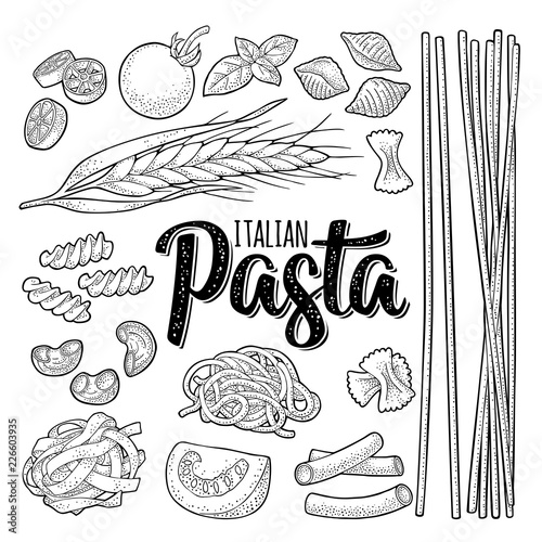 Different types macaroni and ITALIAN PASTA lettering. Vector engraving