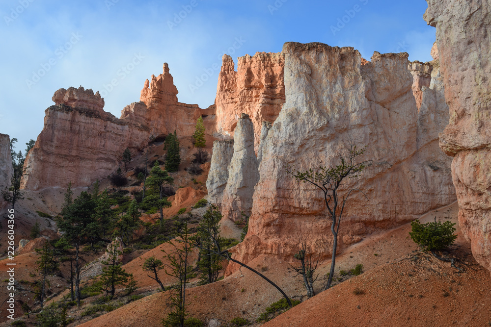 Hoodoos and Red Rocks in Bryce Canyon