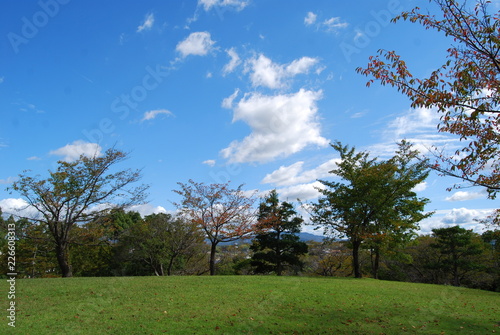 芝生広場