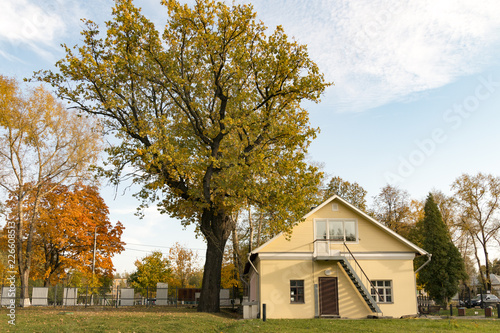 house and tree in autumn