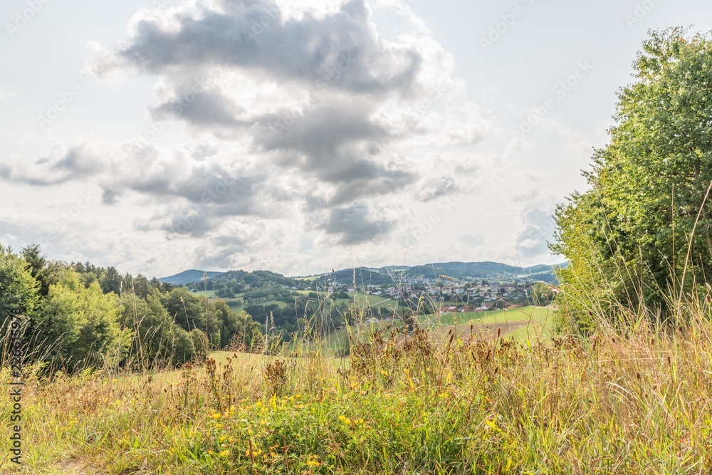Maisfeld und Wiese im Bayerischen Wald, Deutschland