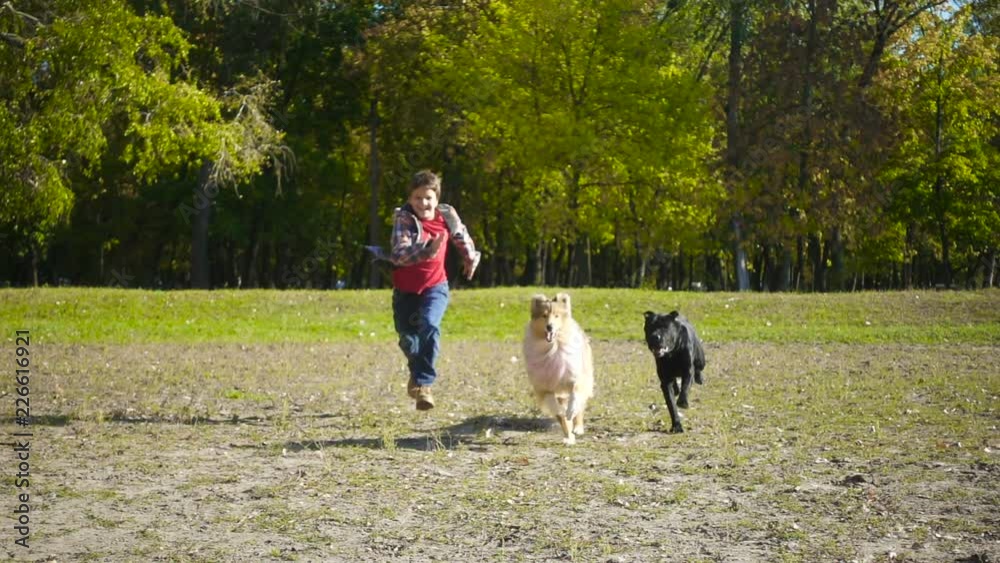 Young boy running with two dogs at the park Young boy running with two dogs at the park