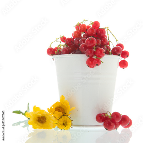White bucket red currents