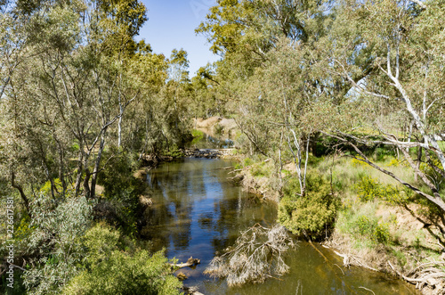 Fototapeta Naklejka Na Ścianę i Meble -  Loddon River Upstream