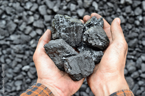 Coal in the hands of worker miner