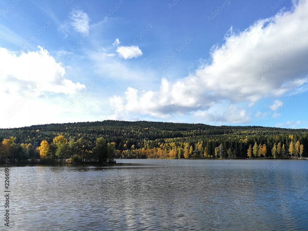 Fototapeta premium cof