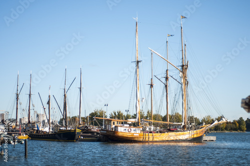 Sailing ships in the bay on a sunny day