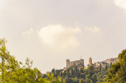 Panoramic view of Roquebrune medieval village in a summer day