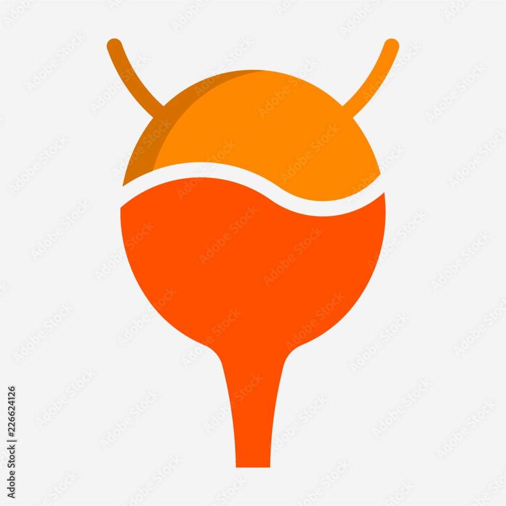 Flat urinary bladder pixel perfect vector icon