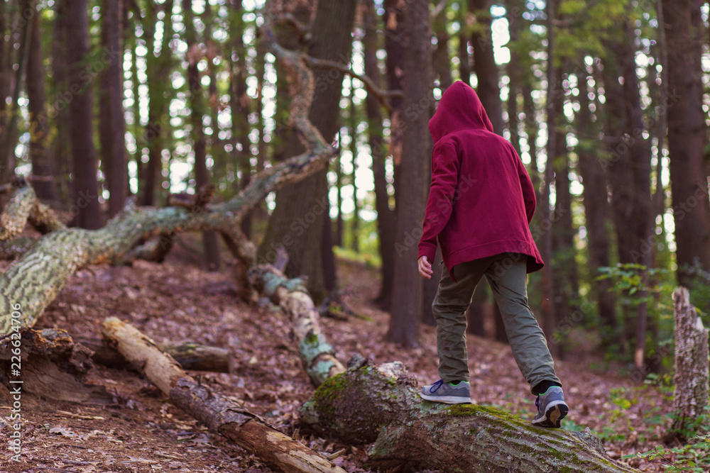 Hooded teenager goes through the forest. 