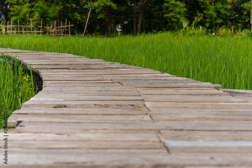 Wooden walkway in the fields