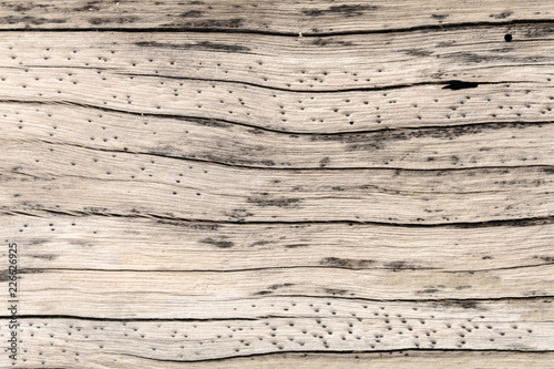 Wallpaper Mural Wooden background  On the beach in Nai Yang Beach Phuket Thailand Torontodigital.ca