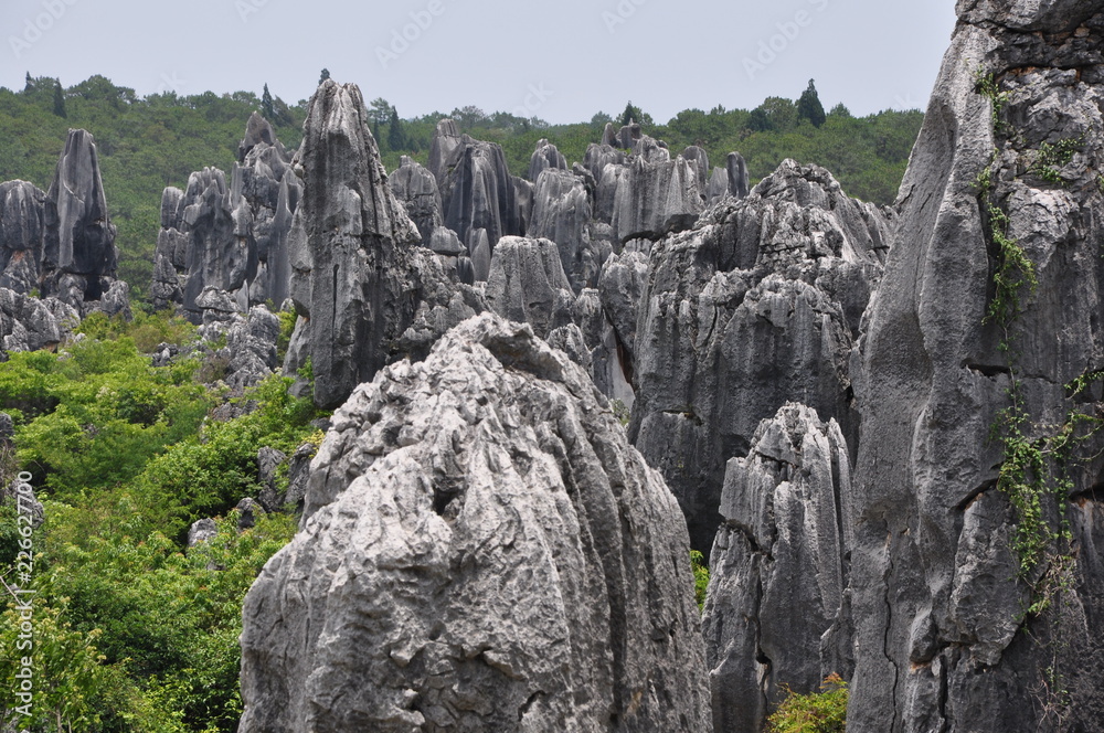 Stone Forest. Shilin Park, China