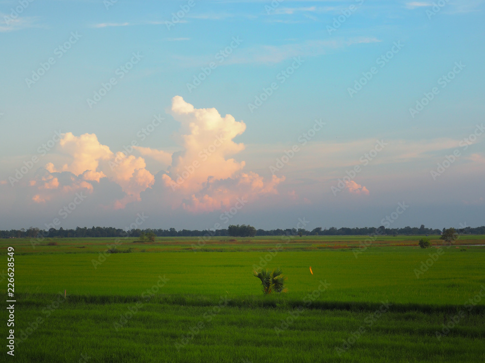 Fields and sky In bright colors and fresh air in nature. Fields and sky In bright colors and fresh air in nature.