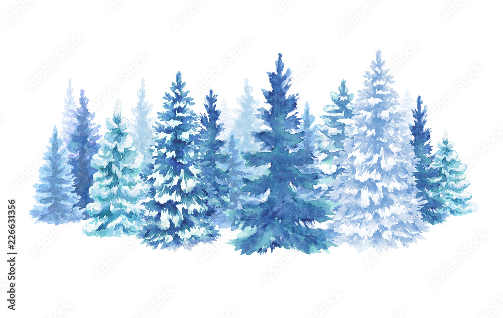 Fototapeta premium watercolor snowy forest illustration, Christmas fir trees, winter nature, conifer, holiday background, rural landscape, outdoor scene, isolated on white background
