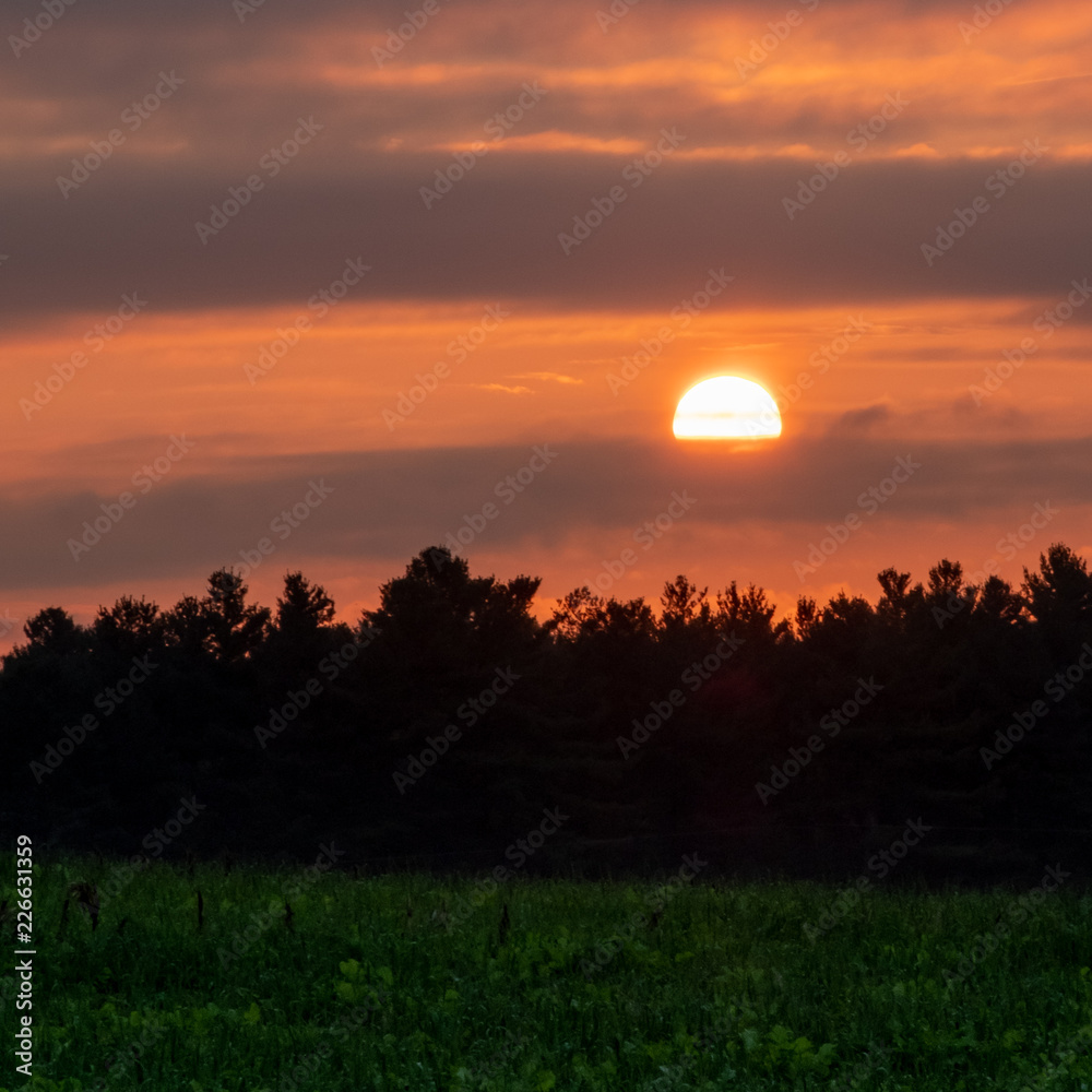 Sunrise over the Strawberry Field